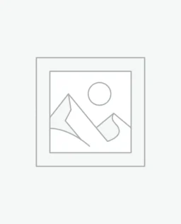 Women'S Bustier Corset